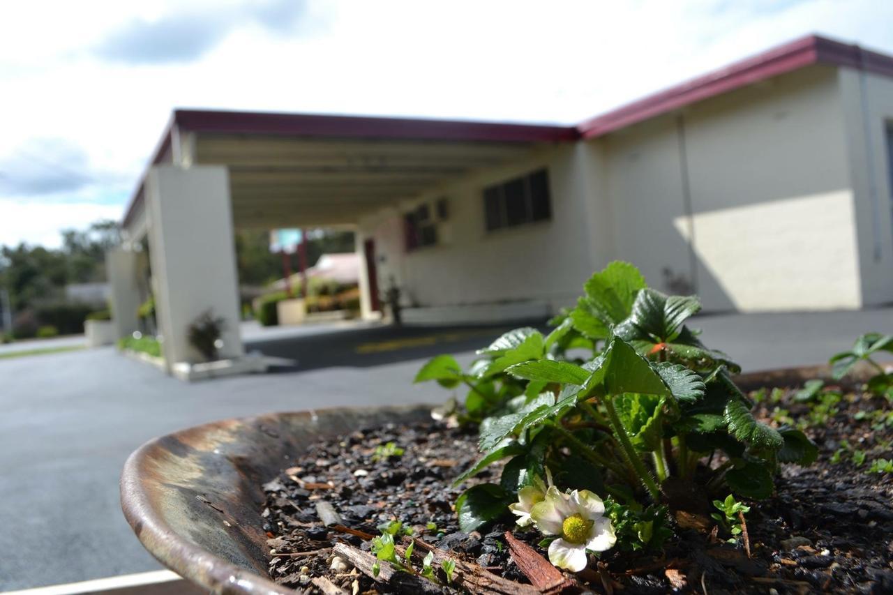 Wattle Motel Seymour Esterno foto